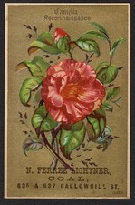 RARE? N. Ferree Lightner, Coal Philadelphia Victorian Adv. Trade Card picture