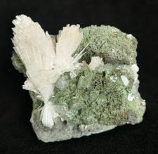 Scolecite & Apophyllite on Chalcedony – Nashik India – 3.8