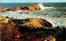 Scenic Oregon Coast Water Rocky Postcard PM OR Cancel WOB Note VTG Dexter picture