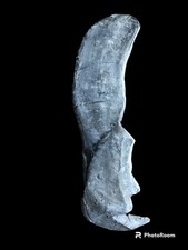 Dunkleosteus terrelli fossil jaw cast replica- Devonian fishes-Paleontology picture