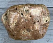 Big Fossiliferous Conglomerate Rock Agate Bands Long Island Glacial Find 3lbs picture