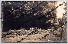 Early Touring Car & Visitors at HAENA Cave Kauai RPPC Hawaii Photo ~1910s picture