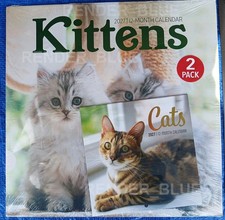 2027 KITTENS  12