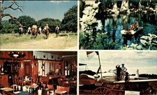Medina TX Resort Ranch M.A.G.I.C. Publishers c1950s-60s Vintage Postcard picture