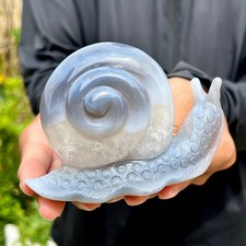 350G Natural Agate Hand Carved Snail Crystal Healing Stone Decor With Stand picture