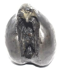 Sacred Adwaitya Golden Kalpavriksha Tripura Bhairavi Shaligram - Gandaki River picture