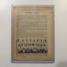 1934 Norfolk VA Baseball Team Picture Rare Antique Virginia League Champions picture