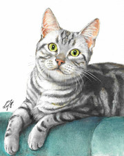✤ ORIGINAL Oil Portrait Painting AMERICAN SHORTHAIR SILVER TABBY Signed Cat Art picture