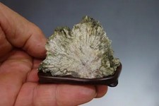Japan SHIMONITA KIKKA-SEKI Chrysanthemum stone SUISEKI w/ pedestal h2