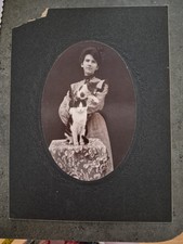 Vtg Antique Cabinet Card Photo 2  Cats Cat 8x6 Victorian Gibson Girl SEPIA picture