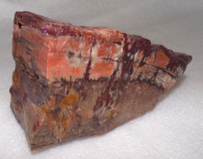 Nice Natural Art Petrified Wood Northern AZ Chinle Formation 2 Lb 1 oz picture