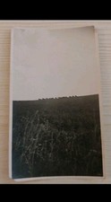 1910s WWI US AEF Horse Drawn Artillery Wagon Photo  Antique  Military  Transport picture