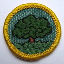 Vintage 1963-74 Girl Scout Cadette PLANT KINGDOM-TREE BADGE Oak Dendrology Patch picture