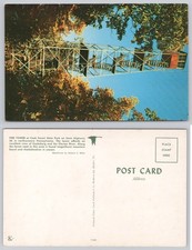 Cook Forest State Park Fire Tower PA Vintage Postcard Ektachrome View picture