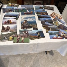 Lakeland Bears Postcard Collection Of 84 Cards. Missing 3 For Complete Set Of 55 picture