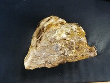 CSS: 5.4 lb Piece Of Petrified Wood Rough Rock Shrinkwood? picture