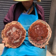 8.03LB 2pcs Natural Petrified Wood Crystal Fossil Slice Shape Specimen Healing picture