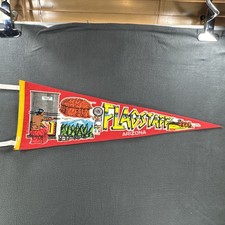 Vintage Flagstaff Arizona Pennant Made In Usa Navajo Hopi Rare picture