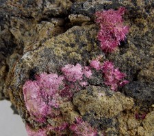 ERYTHRITE CRYSTALS - 5 cm - SARA ALICIA MINE, ALAMOS, MEXICO 30246 picture