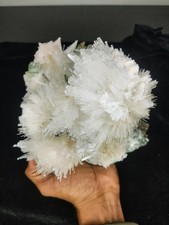 Natural Beautifull SCOLECITE Spray with green APOPHYLLITE minerals specimens picture