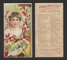c1880's N75 Duke Tobacco Card - Floral Beauties Series - Begonia Originality picture