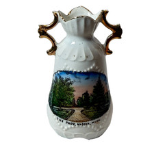 WADENA MN The Park MINNESOTA ANTIQUE Souvenir CHINA TRINKET VASE picture