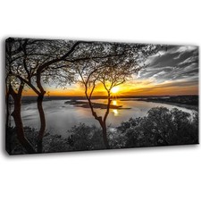 Bamdeya Large Wall Art Living Room Black And White Landscape Tree Canvas Wall picture