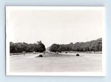 Old Vintage Photo STREET SCENE ROAD CENTER DIVIDE TREES CLASSIC CARS SNAPSHOT picture