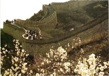 Vintage Great Wall of China Spring Blossoms Postcard China Pictorial picture