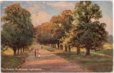 Antique 1907 The Avenue Bushwood Leytonstone London England Posted Postcard picture