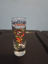 10 Souvenir Shot Glass Lot picture