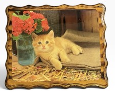 Vintage Wood Laquard Kitten Art Home Wall Decor picture