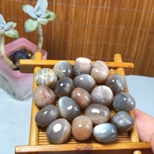 18Pcs NATURAL Black backbone crystal Polish specimens Tumbled 70g A3163 picture