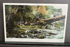 Arbor-Vitae Trees and Cascade Natural Bridge VA Phostint Antique Postcard unp picture