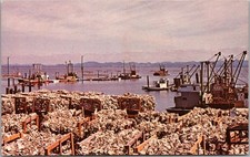 c1960s NAHCOTTA, Washington Postcard