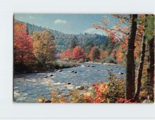 Postcard Nature/Landscape Scene picture