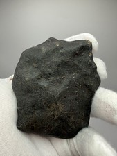 Hammadah al Hamra 346  Display Meteorite 220 g Full Crust - Poss. Witnessed Fall picture