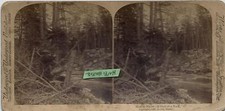 1893 Real Photo Stereoview Deer Hunter - Now or Never A Shot at a Buck picture