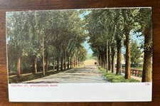 WINCHENDON MA MASS~View Down Central Street~1902 Unused UDB Postcard picture
