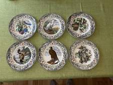 SET of 6 The Birds of America by John James Audubon Adams Plates 1940s w/ EAGLE picture