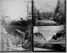 Collage Of Beautiful Yoesmite CA. B+W Found Photo VB560 picture