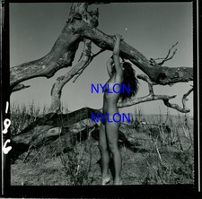 RARE VINTAGE 2 1/4 x 2 1/4 PHOTOGRAPH OF A NUDE MODEL BY ANDRE DE DIENES picture