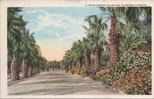 Lithograph ** Florida Scene 