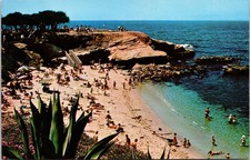 Vintage La Jolla Cove California Postcard People Swimming and On The Sandy Beach picture