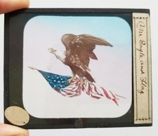 antique MAGIC LANTERN GLASS SLIDE patriotic AMERICAN EAGLE FLAG picture