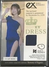Riko Hoshino 2026 Juicy Honey Exquisite Formal Dress 1/300 Princess Costume picture