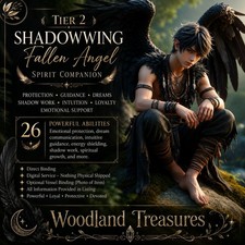 Tier 2 Shadowwing Fallen Angel Spirit Companion picture