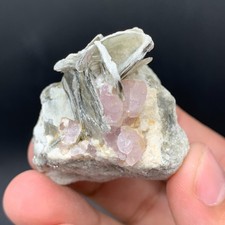 Soft Pink Apatite Crystals on Muscovite Mica - Nagar Valley, Pakistan picture