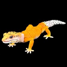 Bandai Leopard Gecko Tangerine Diversity of Life on Earth Advance Figure Japan picture