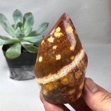 311g TOP MADAGASCAR NATURAL OCEAN JASPER QUARTZ CRYSTAL Freeform The torch g6626 picture